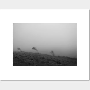 Black and White landscape photography Posters and Art